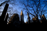 View from Madison Sq. park